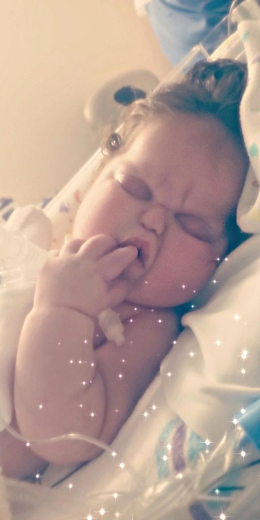 Zephyr Will Atchison Profile Photo