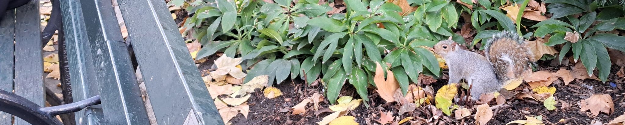 Cover for Jimmie Marie Bennett's Obituary