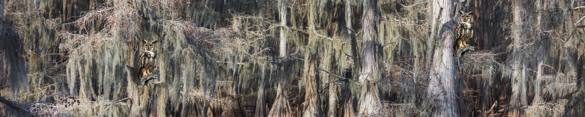 Cover for Marina Gay Reynolds's Obituary