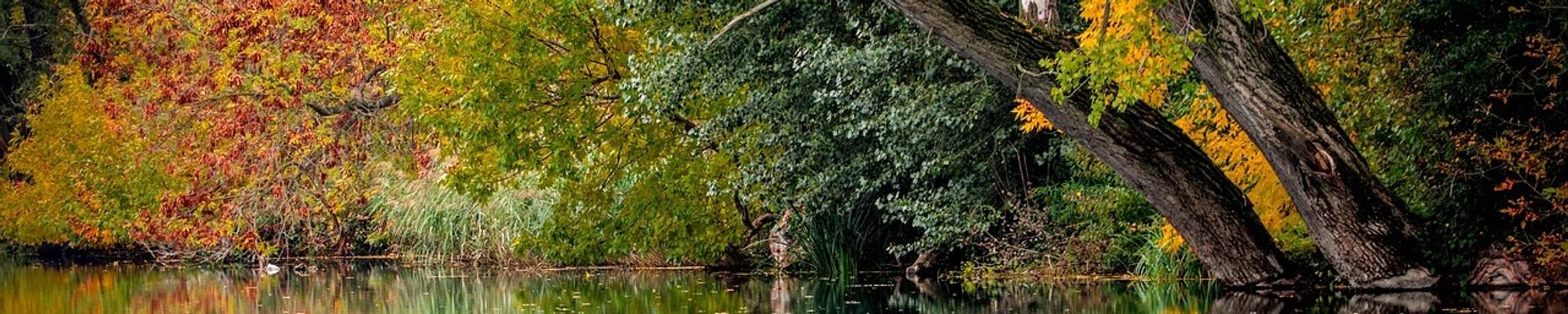 Cover photo for Karen S. Secaur's Obituary