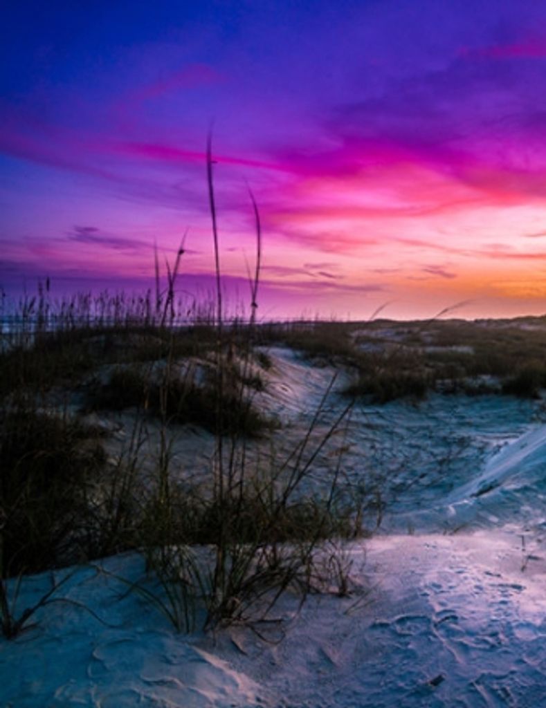 Michelle Muir Syfrit