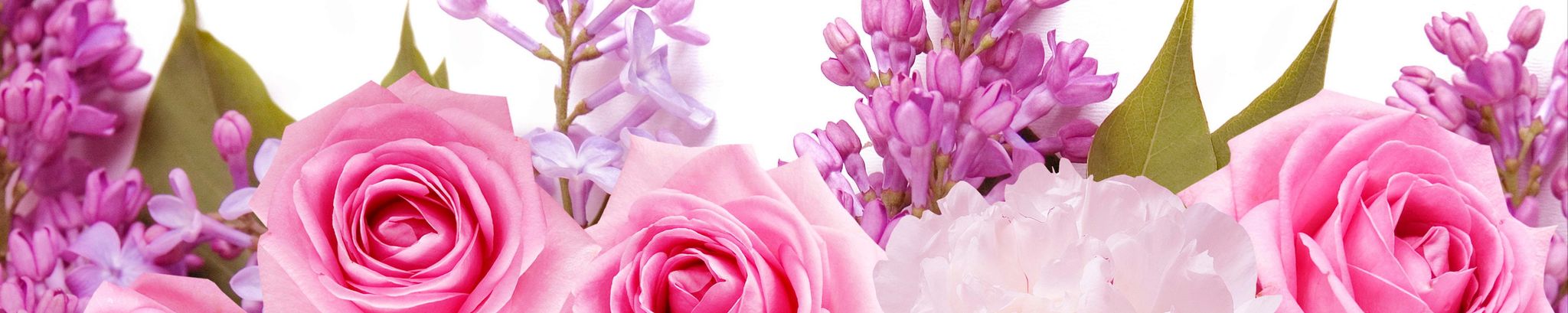 Cover photo for Barbara Michaud's Obituary
