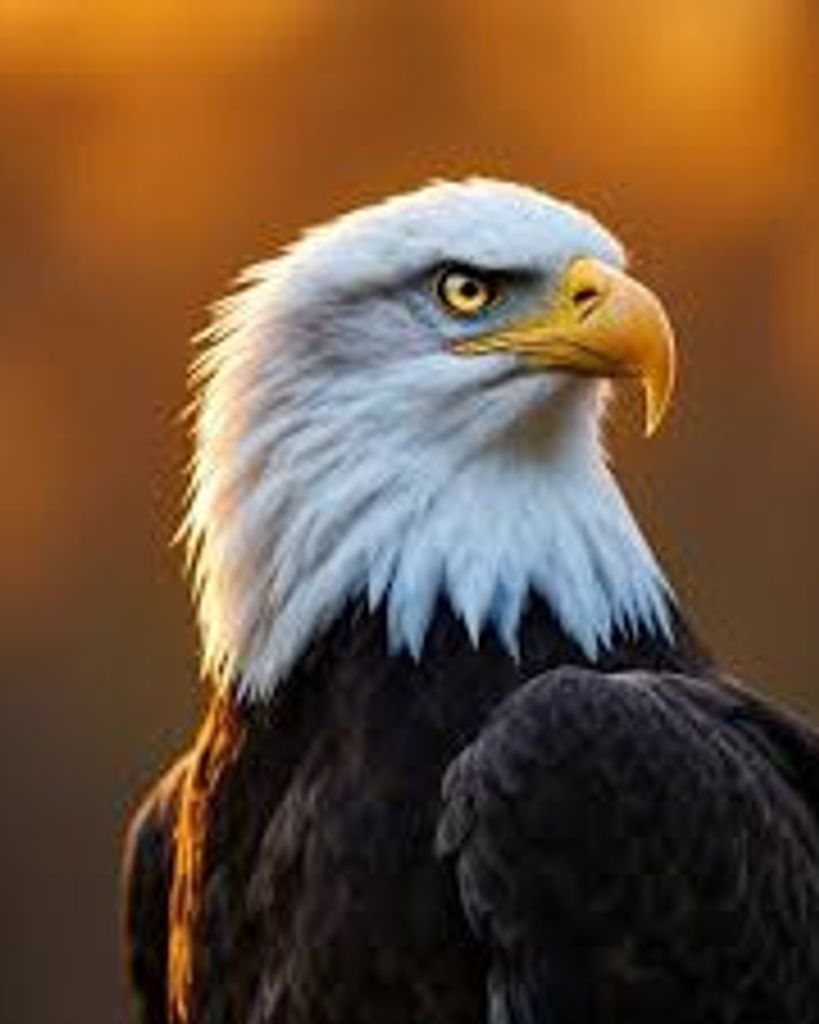 Clyde Morris Bradley