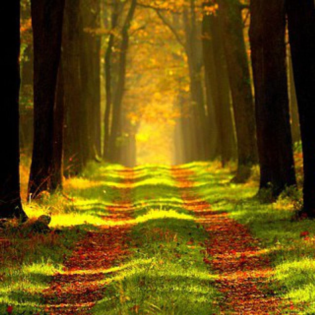 Lawrence C. Rehrig Profile Photo