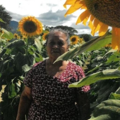 Marta Luz Hernandez Profile Photo