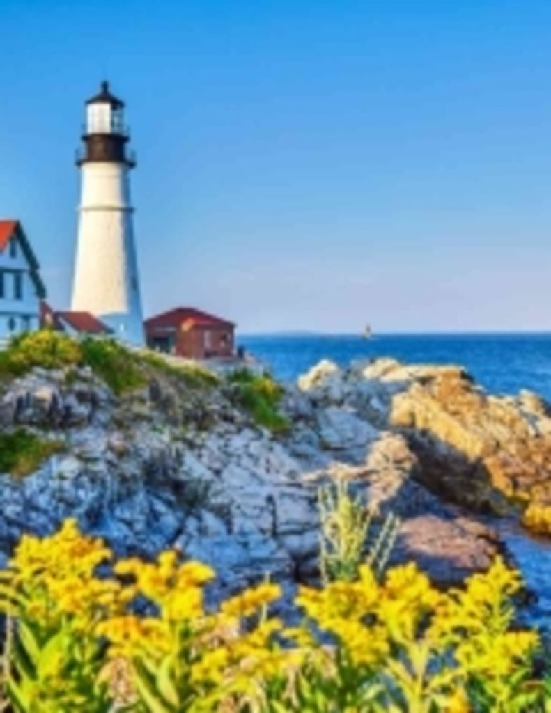 June F Wilt Profile Photo