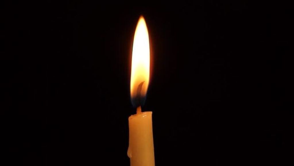 Sally Giannantonio Profile Photo
