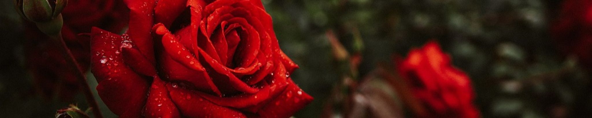 Cover photo for Lucille Crocker Turner's Obituary