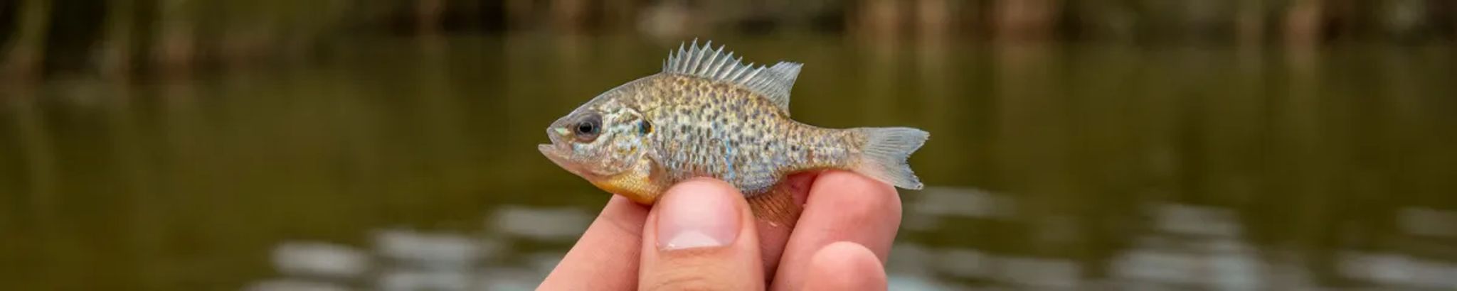 Cover for Lawrence "Larry" Carlton Meek's Obituary