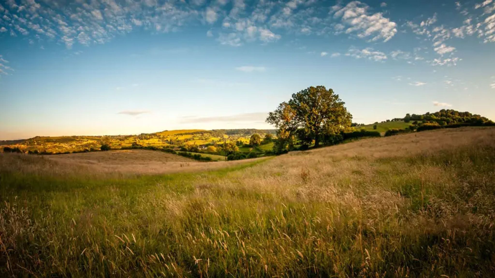 Cover for John Clark Irwin's Obituary