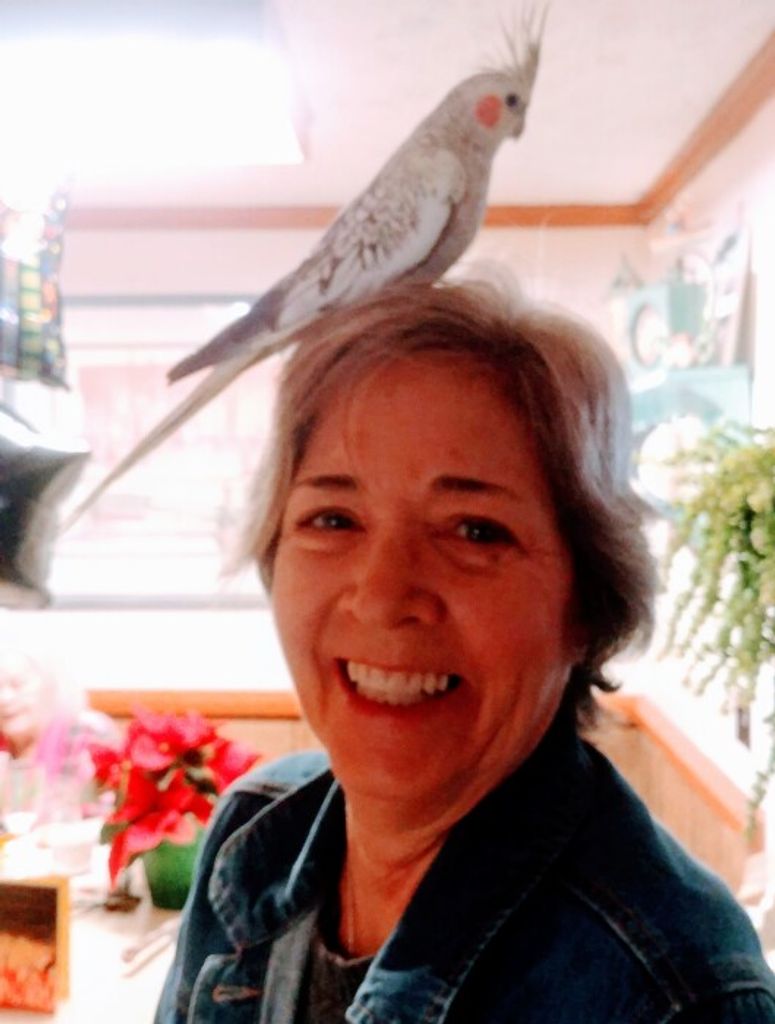Sandra (Hickman)  Franklin Profile Photo