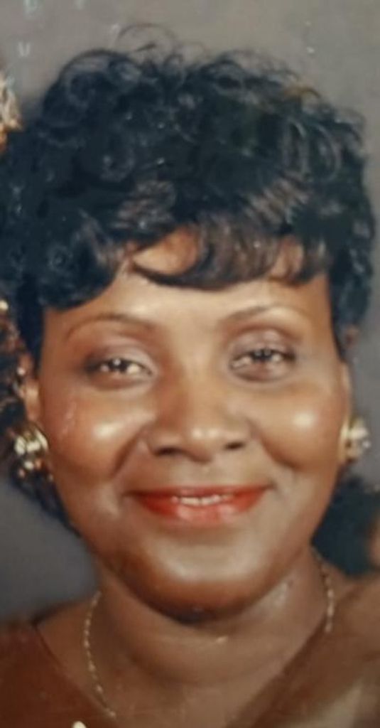 Robin Scott Profile Photo