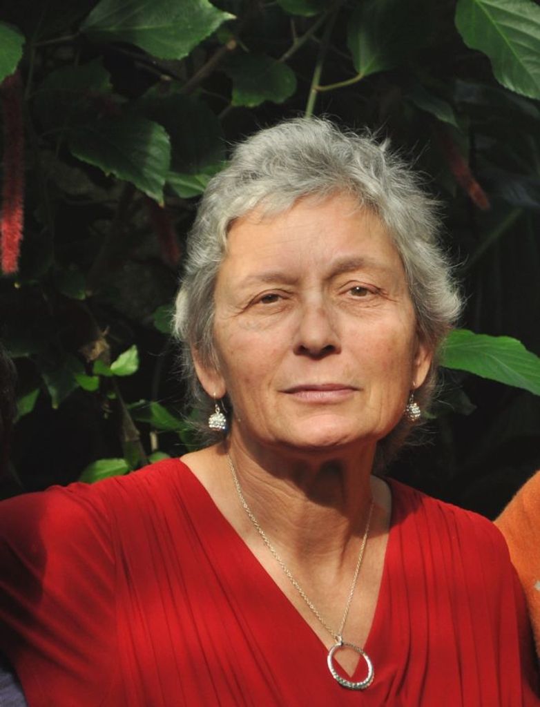 Martha Anne Chiappetti Well