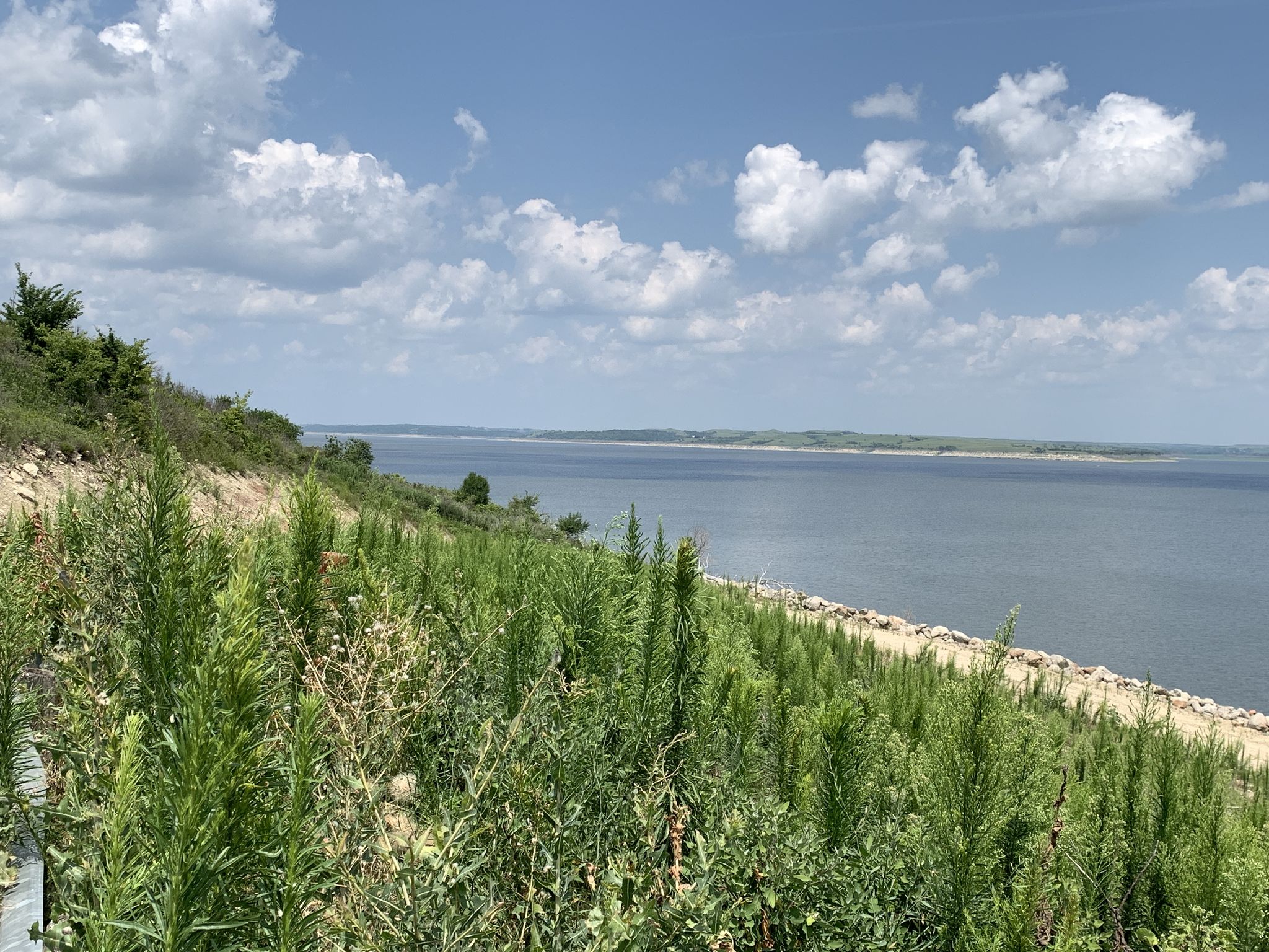 Cover photo for Margaret Lee's Obituary