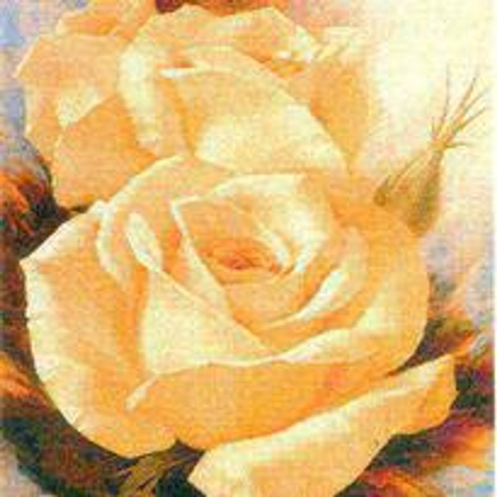 Judith Gail Gray Mcclung
