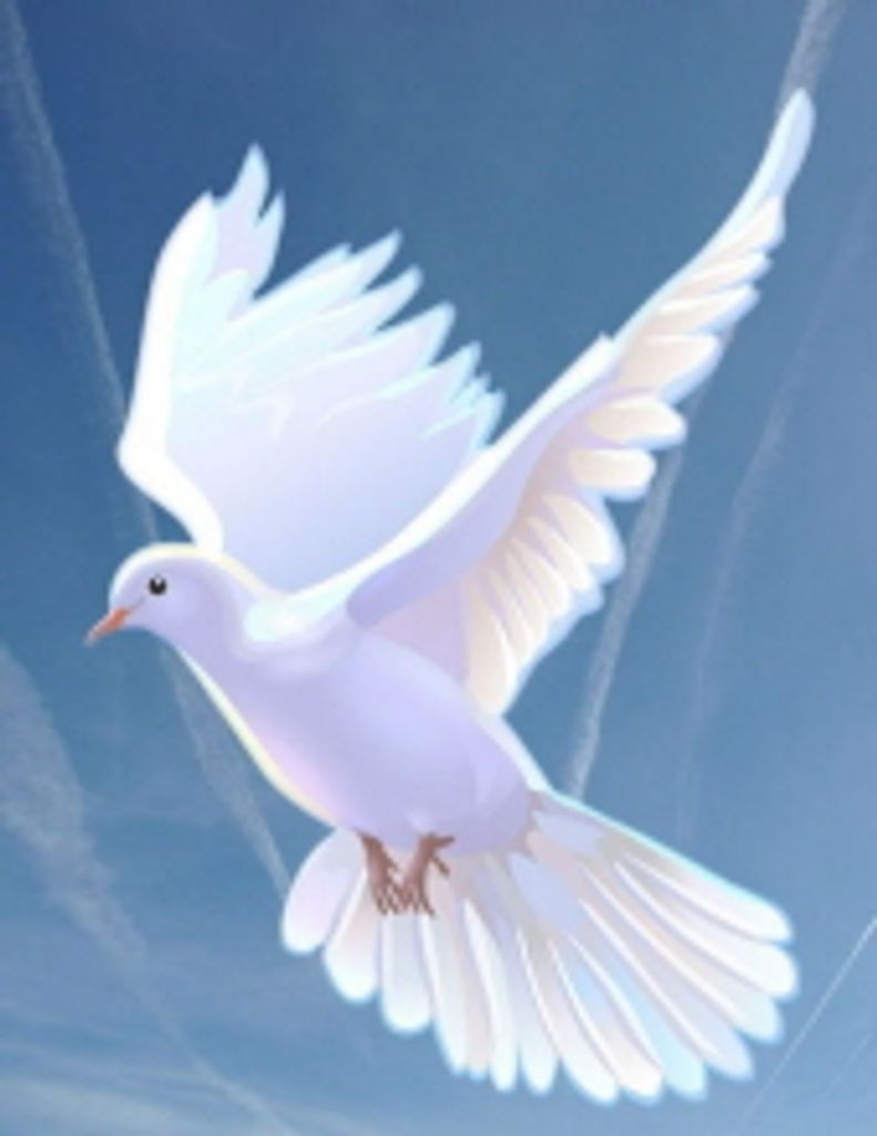 Abbie  Lou Stephenson