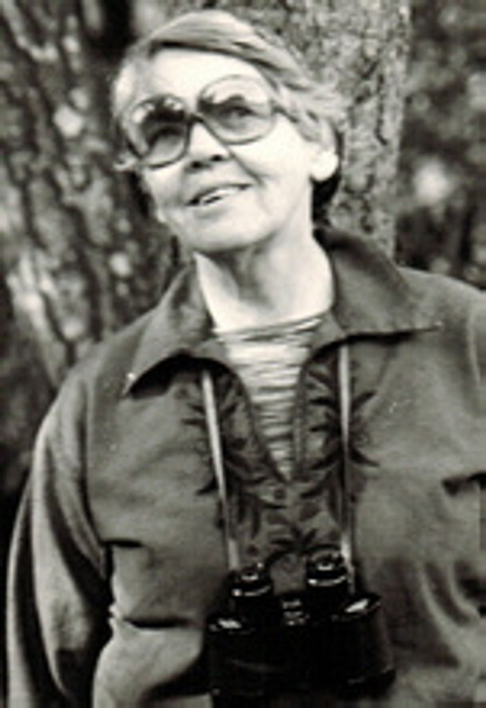 Franz Nestor Gouttiere