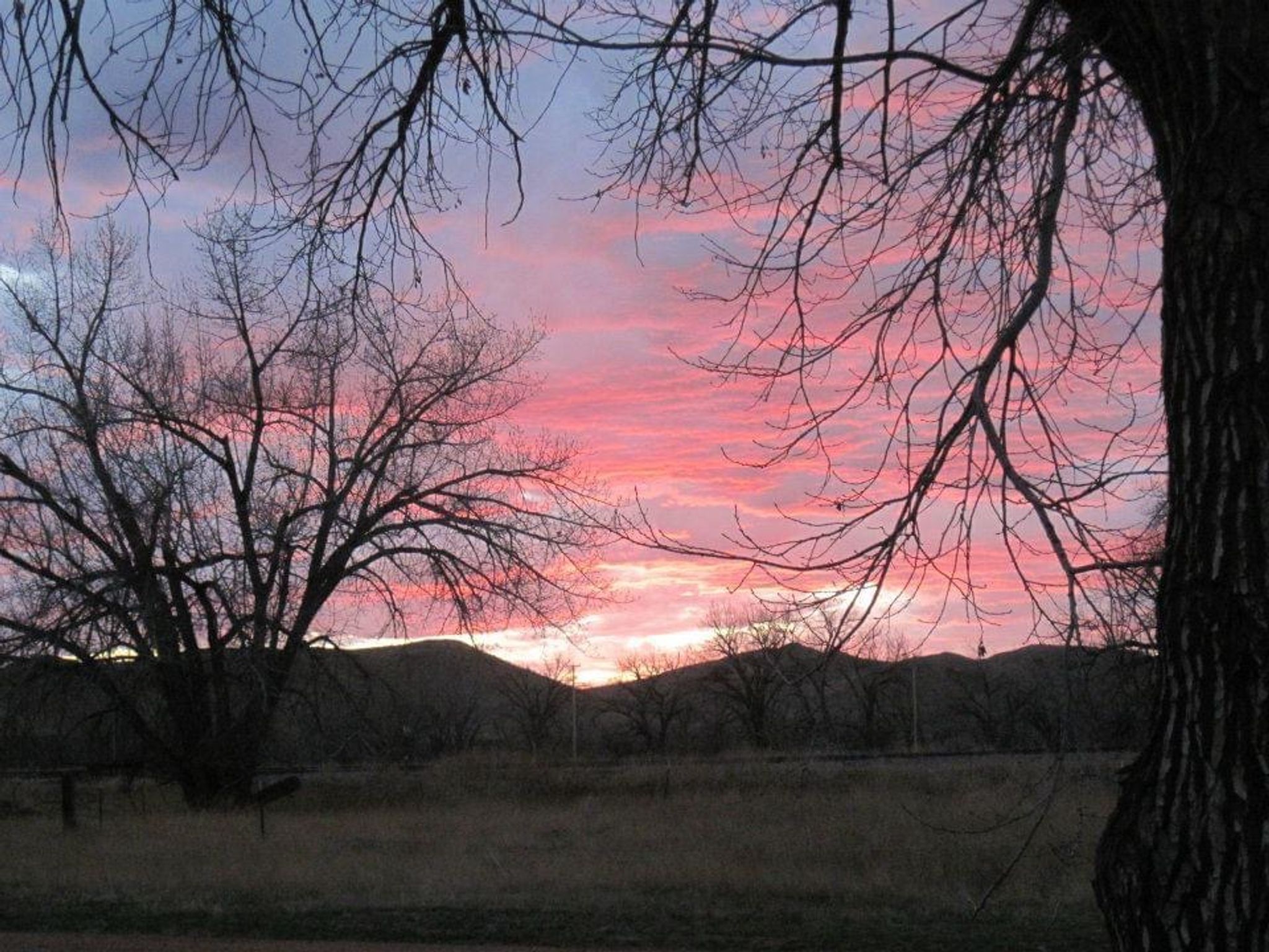 Cover photo for Melody Bagley's Obituary