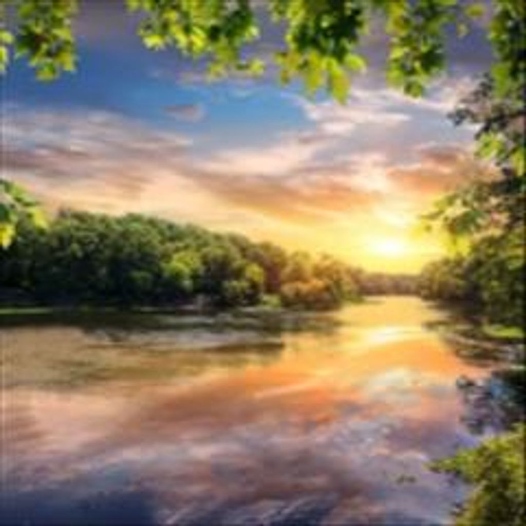 William Boyd Smith, Jr. Profile Photo