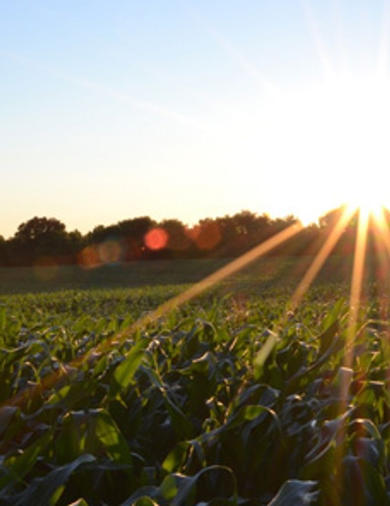 Timothy Stewart Degrange Profile Photo