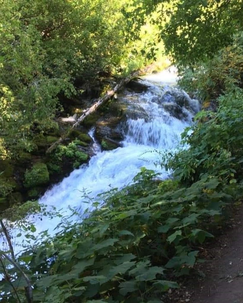 Clark Landell Petersen