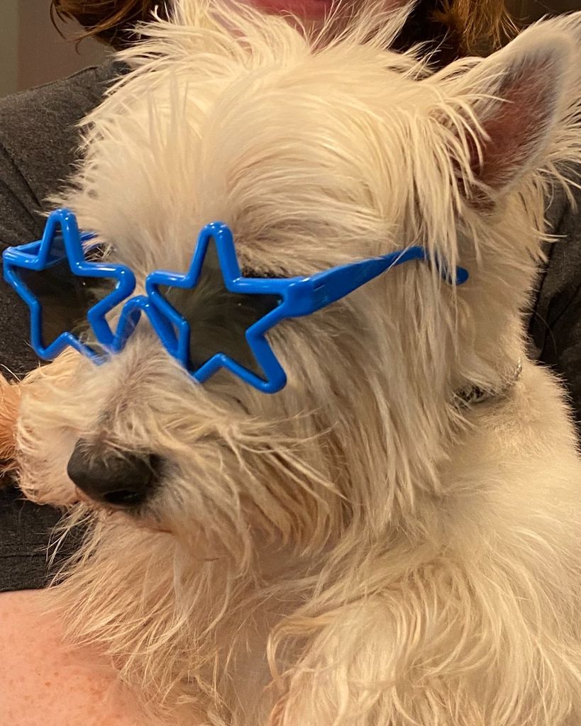 Rocky Warmington