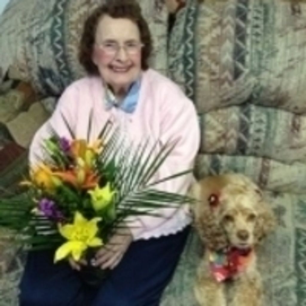 Ann Hardies