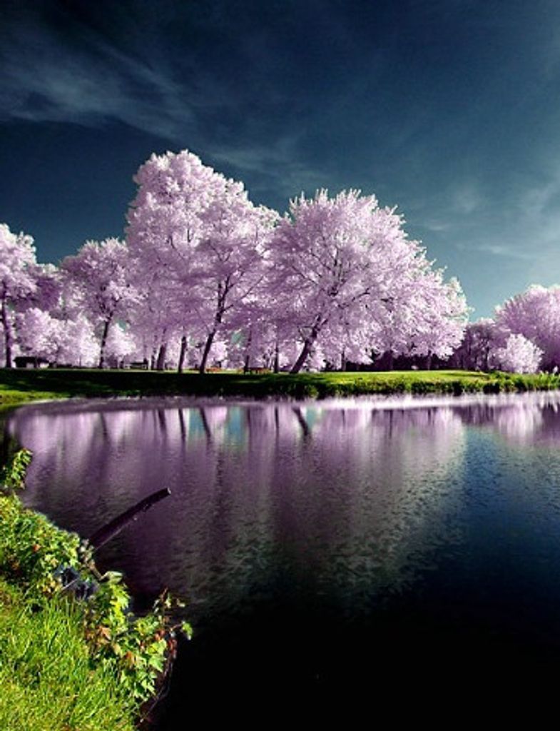 Thelma Marie (Chapman)  Dobbins Profile Photo