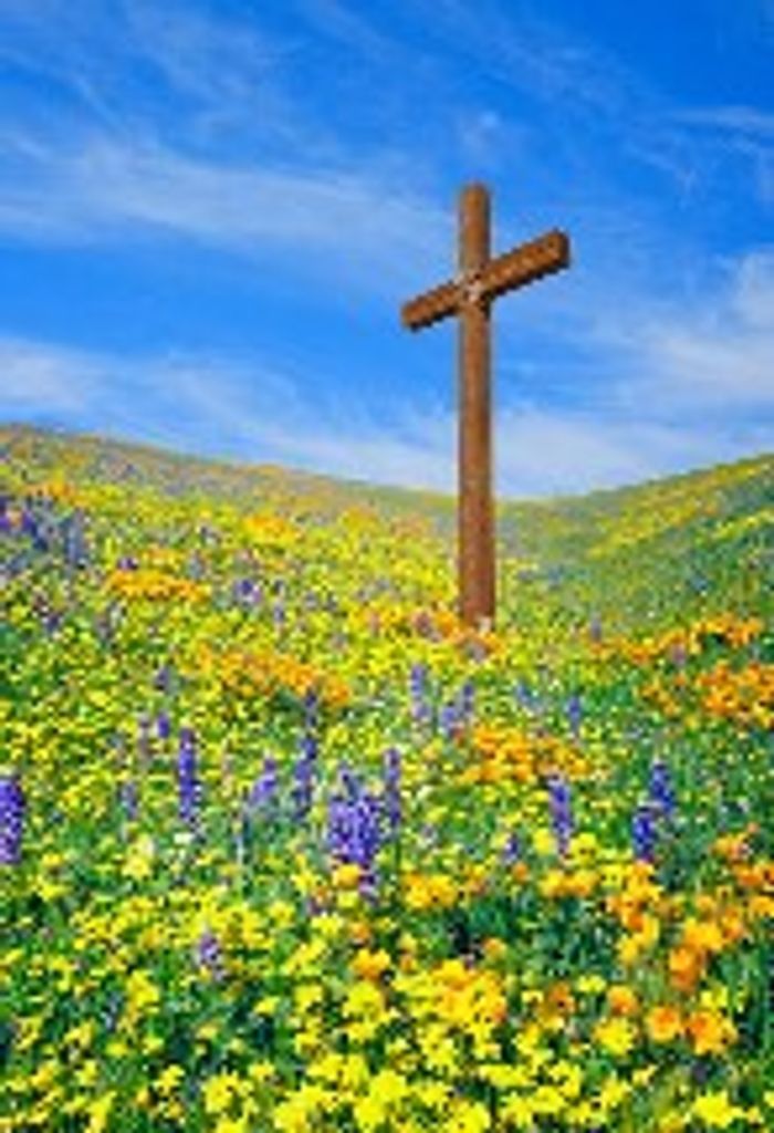 Joyce Eileen (Seashols)  Kaiser Profile Photo