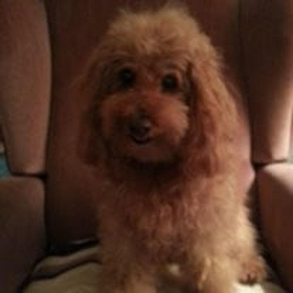 Ginger Sobota Profile Photo