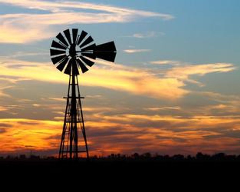 Helen Hillman Profile Photo