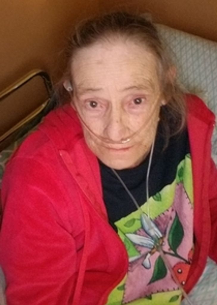 Shelby Gean Miller Profile Photo