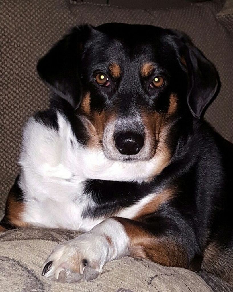 Chloe