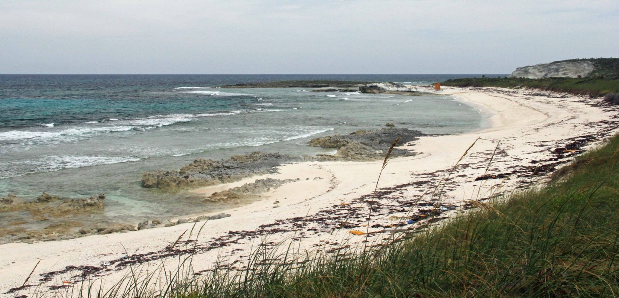 Cover for Audley Miller's Obituary