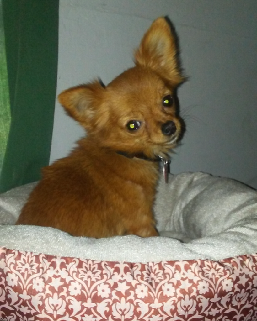 Zoey Watson Profile Photo
