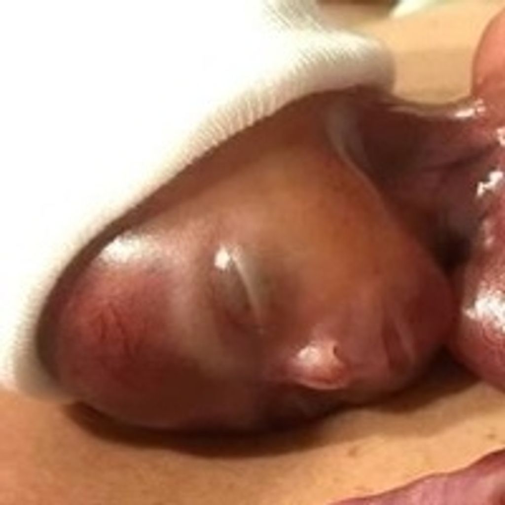 Theodore Steven Chronis
