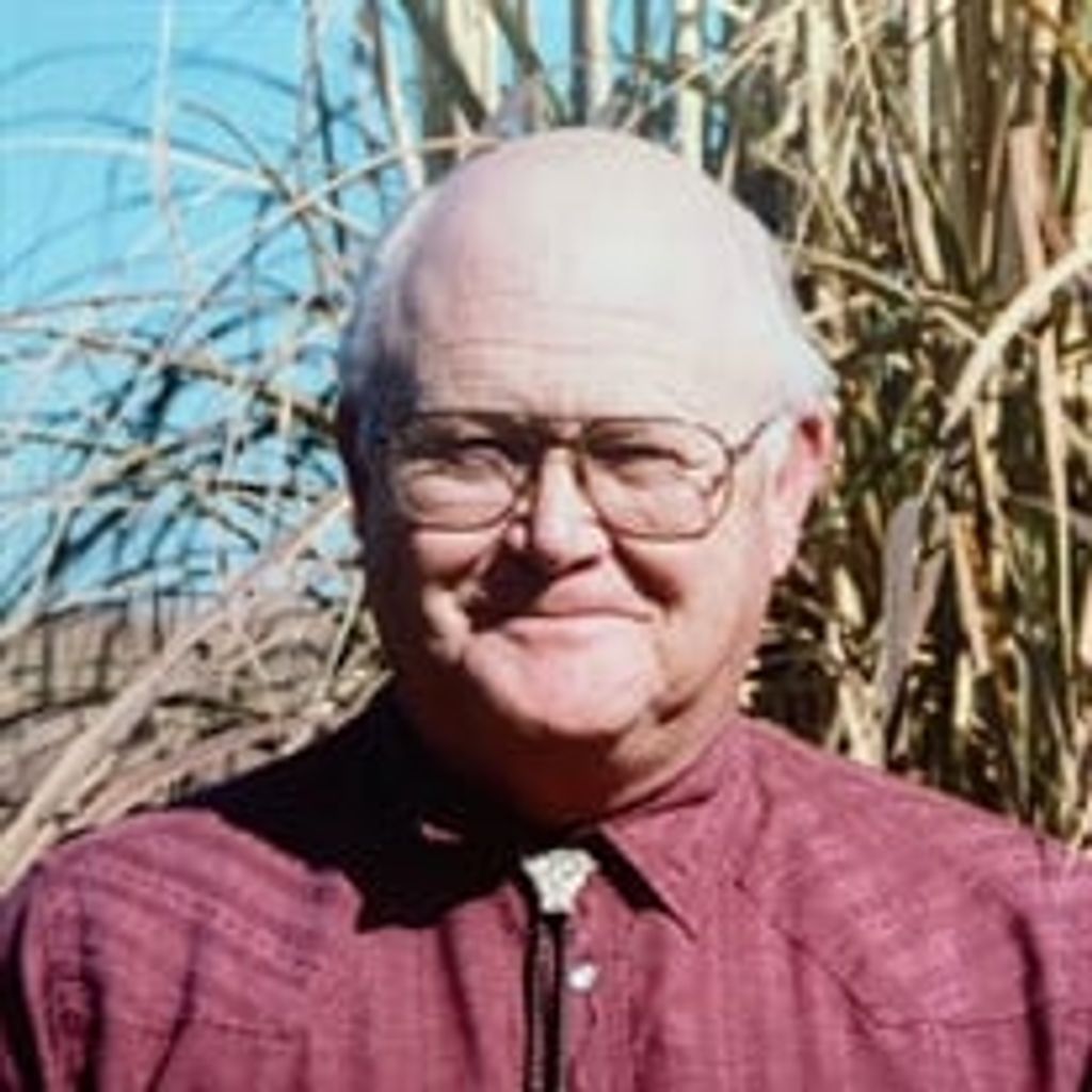 Larry L Rose