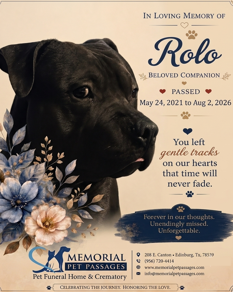 Rolo Profile Photo
