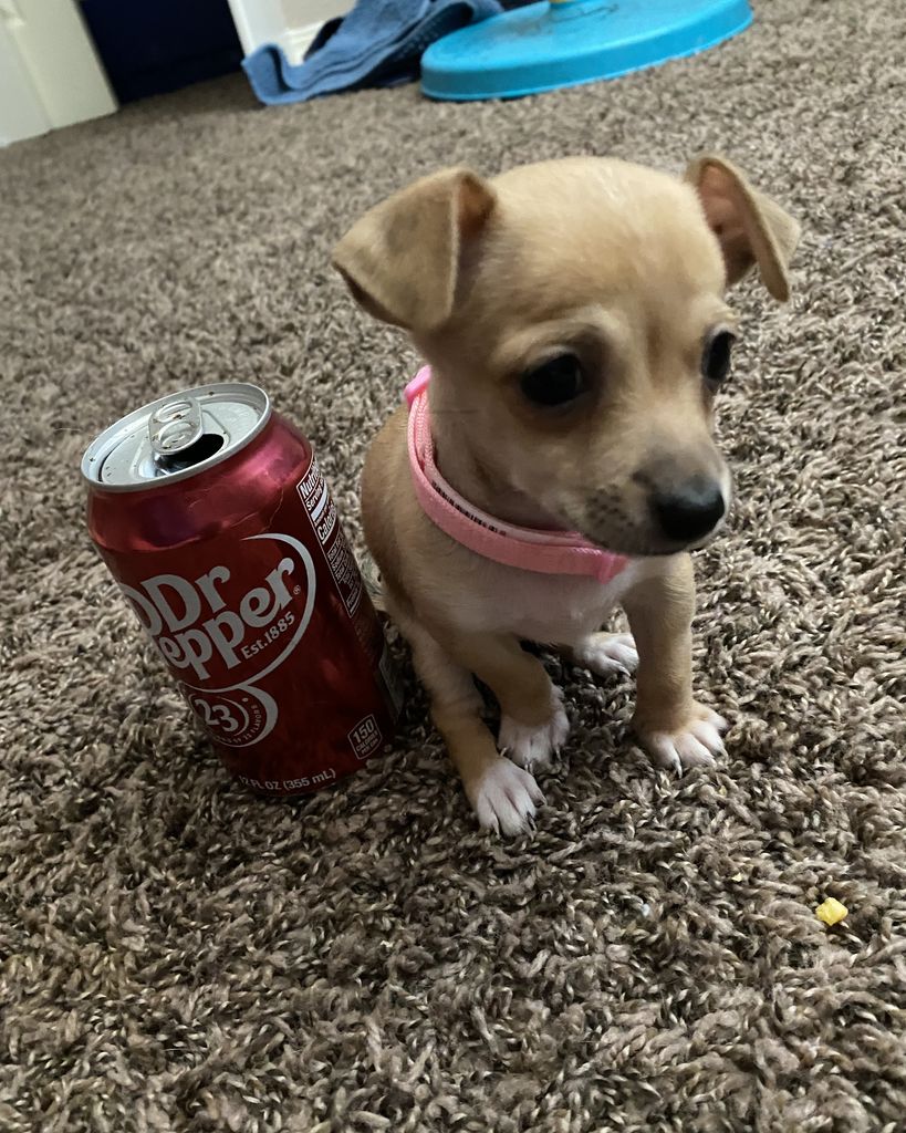 Nala Corey