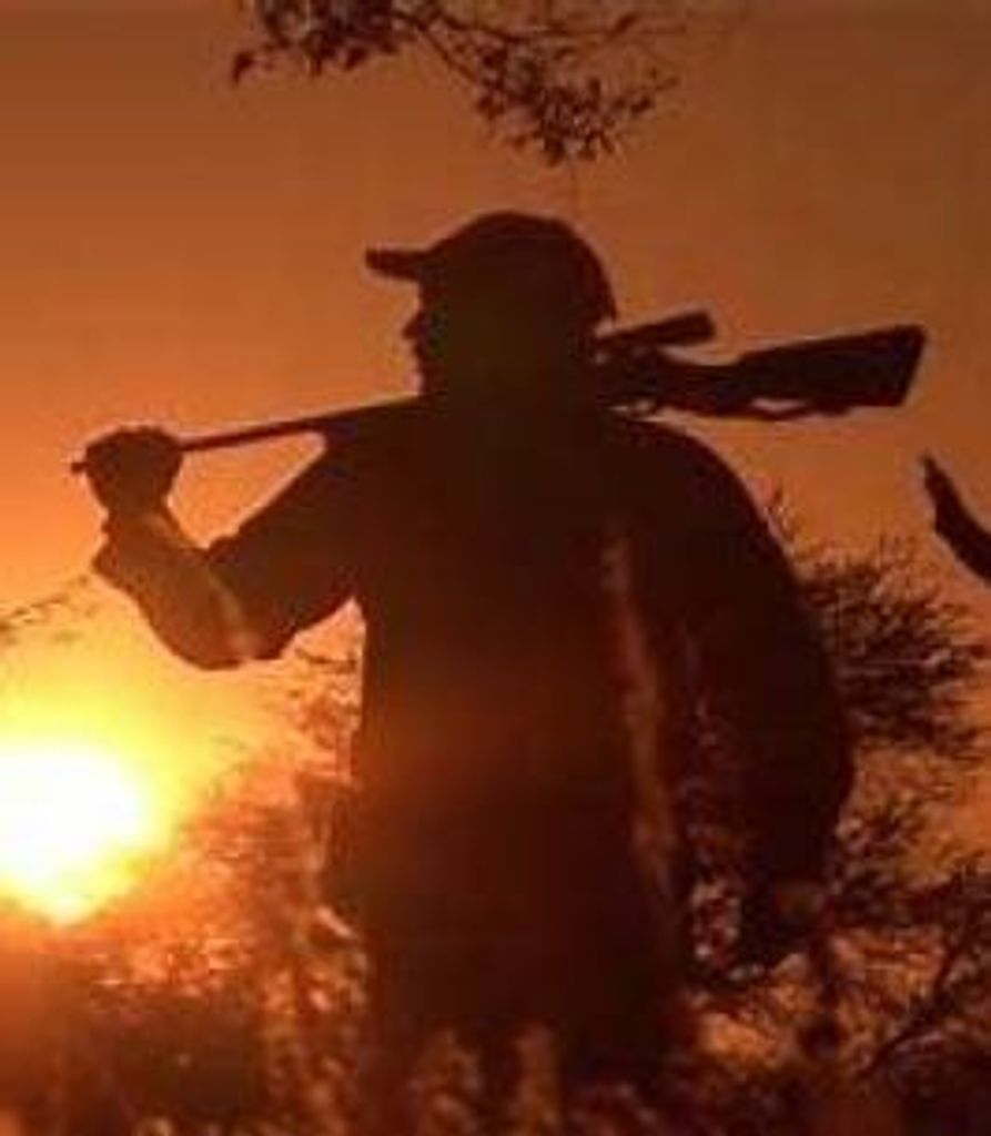 Joseph Reindl Profile Photo