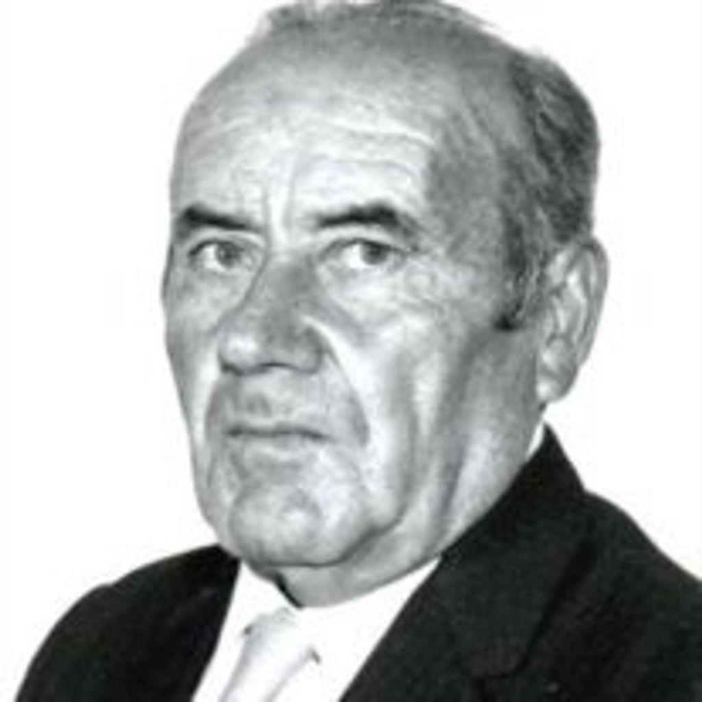 Domenico "Domenic" B. Patriarca