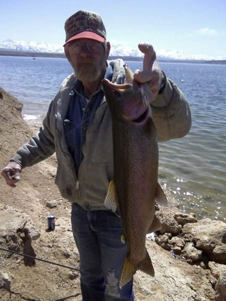 Stephen Ira Macdonald