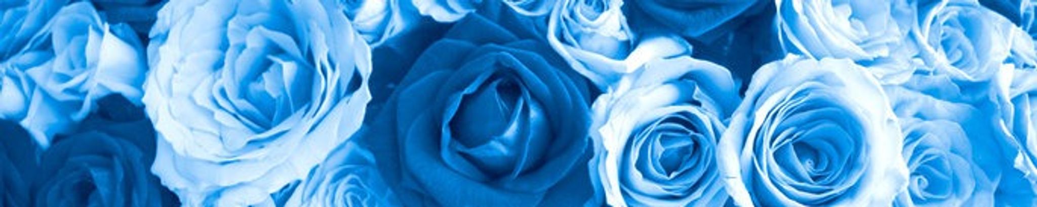 Cover for Liberty Rose Smith's Obituary