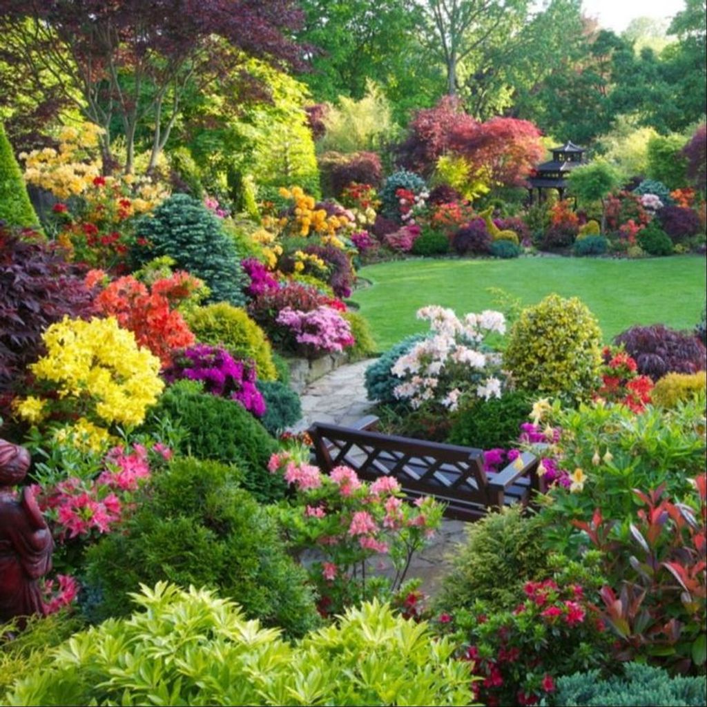 Ramona Nunez Profile Photo