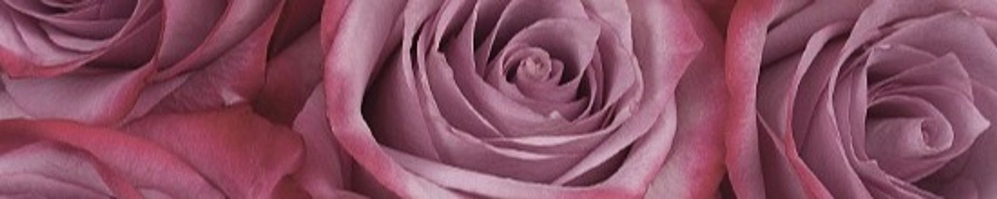 Cover photo for Artie Pearl Hendrix's Obituary