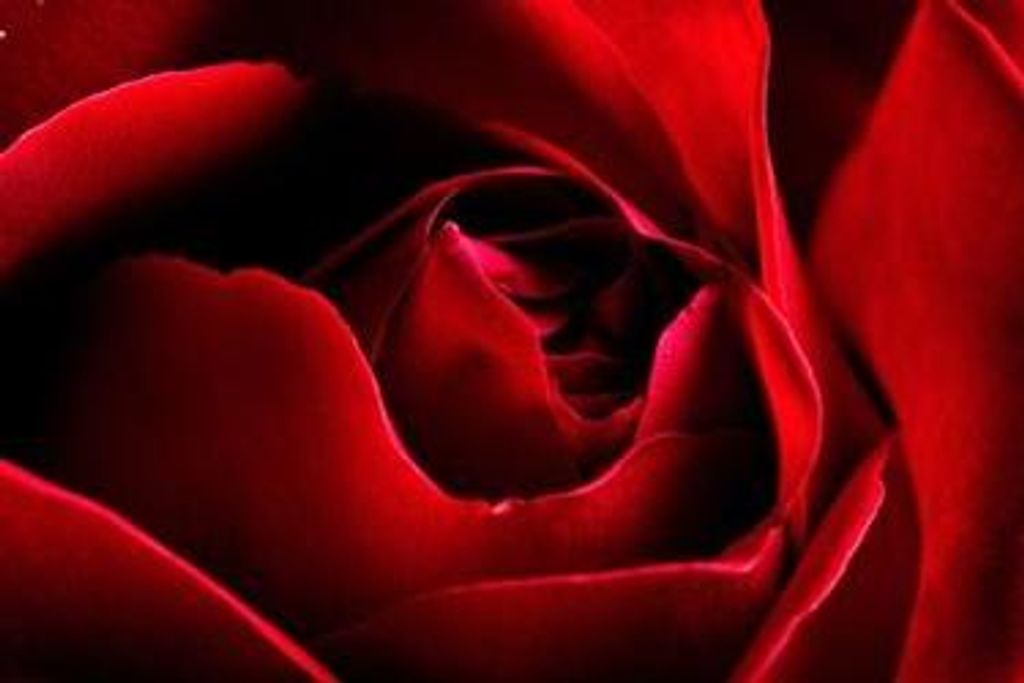 John Kenneth Ballance Profile Photo