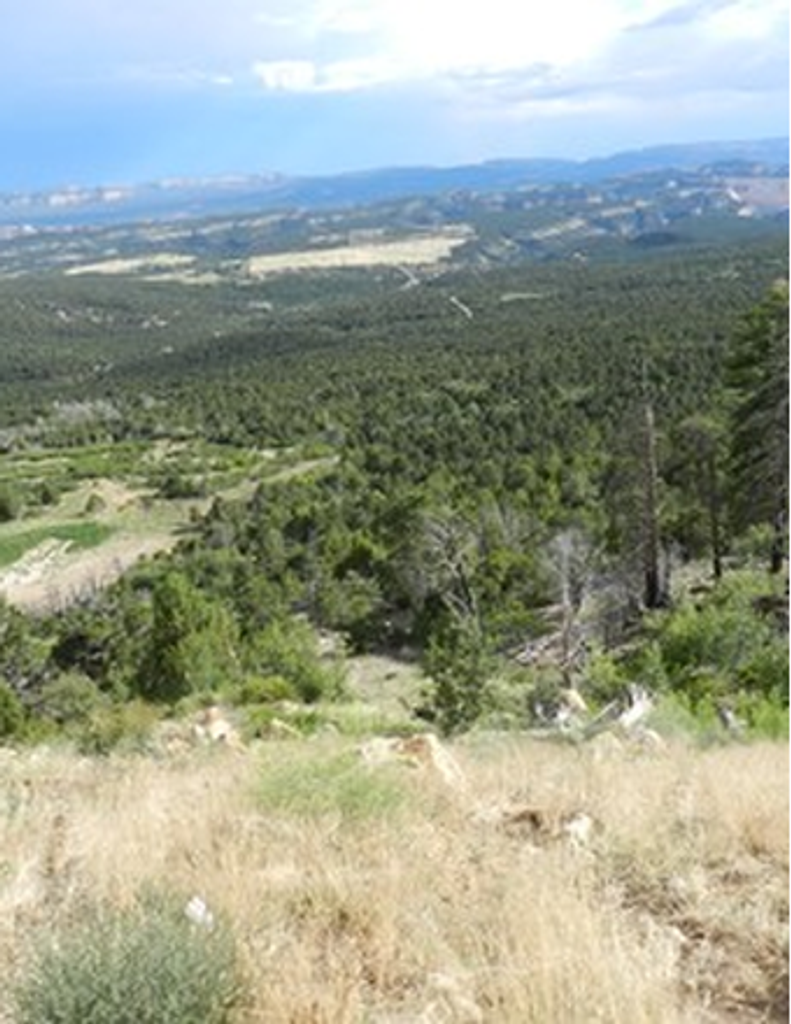 Andyo  Test Test Profile Photo