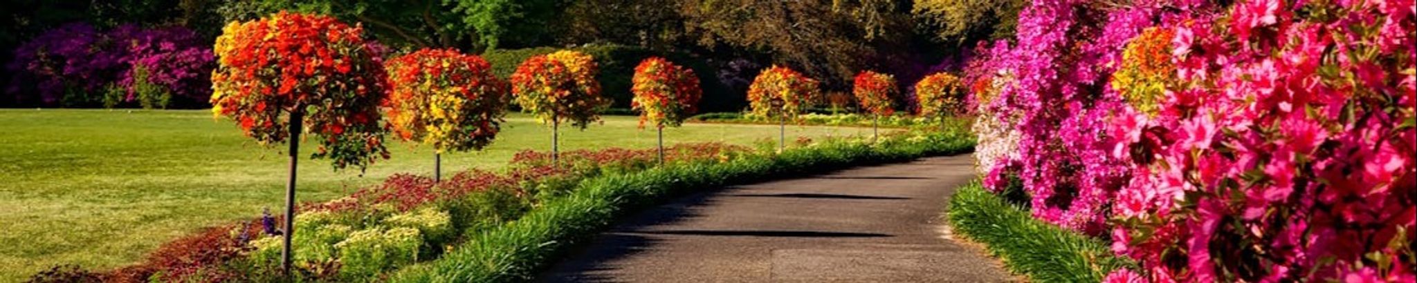 Cover photo for Jackie McDevitt Tomaselli's Obituary