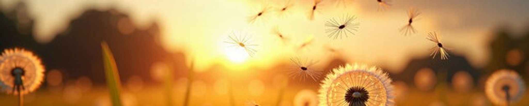 Cover photo for Heather Lynn Morin's Obituary