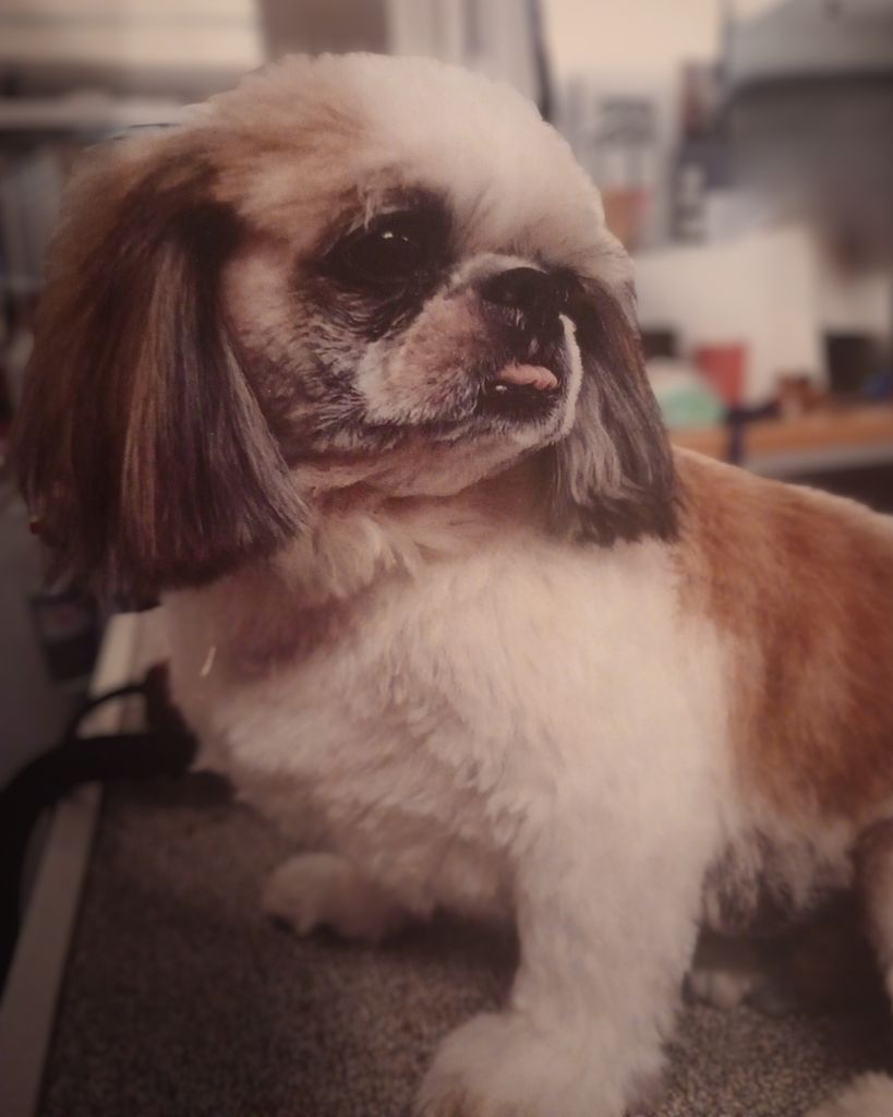 Turbo Profile Photo